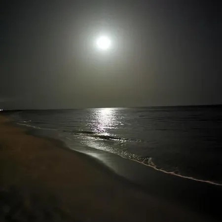 Playa Mirar In Palm Garden דירה